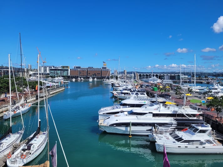 View from Delta Insurance offices in Auckland